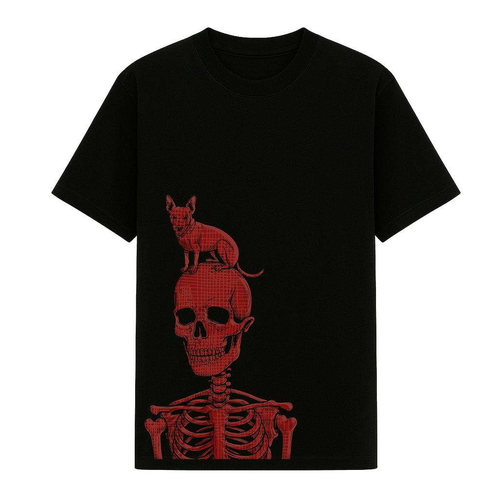 SKELETON AND THE PET